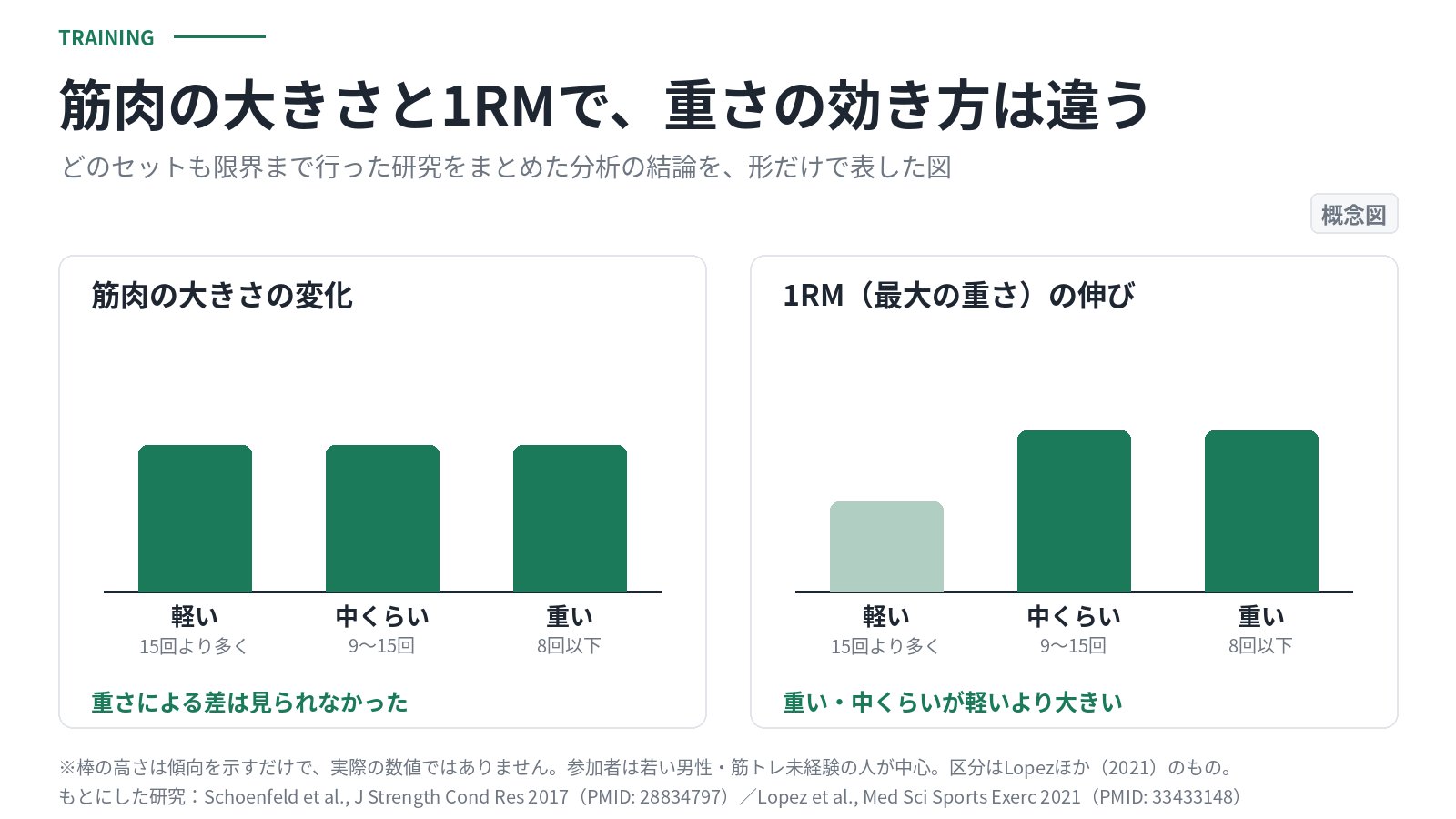 概念図。限界まで行った研究をまとめた分析では、筋肉の大きさの変化は軽い・中くらい・重い重量で同じくらいだが、1RMの伸びは重い重量と中くらいの重量が軽い重量より大きいことを、数値なしの棒で示した図