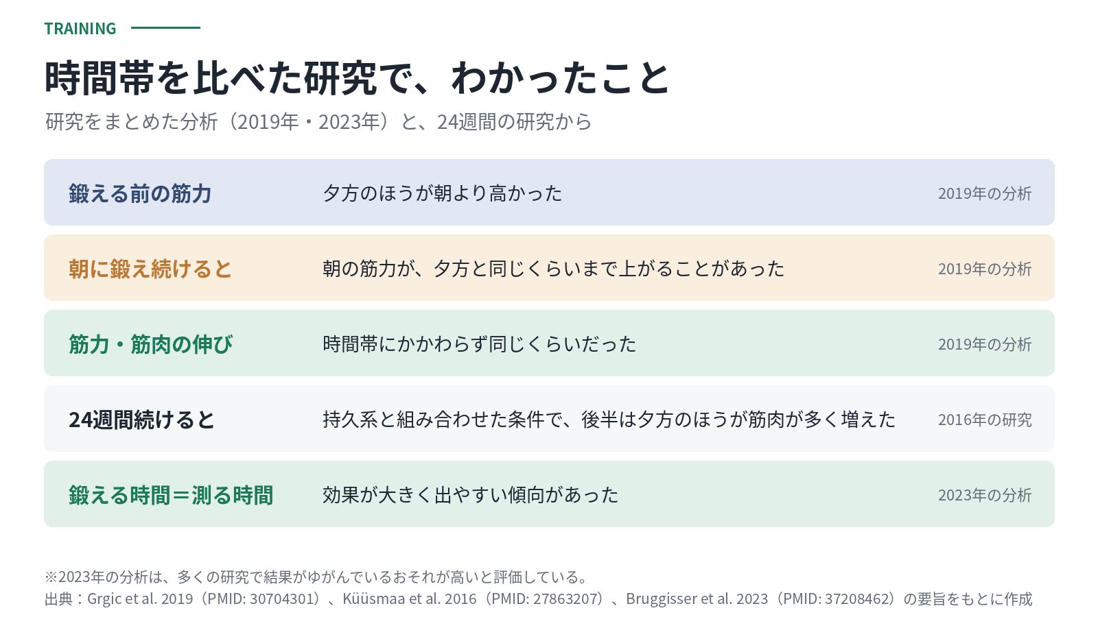 時間帯を比べた研究でわかったことの表。鍛える前は夕方のほうが筋力が高い、朝に鍛え続けると朝の筋力が夕方と同じくらいまで上がることがある、筋力と筋肉の伸びは時間帯にかかわらず同じくらい、持久系と組み合わせた24週間の研究では後半に夕方のほうが筋肉が多く増えた、鍛える時間と測る時間が同じだと効果が大きく出やすい